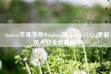 itunes(苹果发布Windows端iTunes 12.12.4更新，加入安全修复程序)