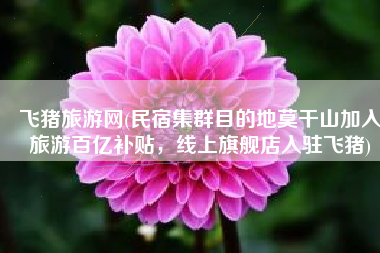 飞猪旅游网(民宿集群目的地莫干山加入旅游百亿补贴，线上旗舰店入驻飞猪)