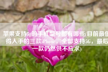苹果支持5g的手机型号都有哪些(目前最值得入手的三款iPhone，全部支持5G，最后一款仍然供不应求)