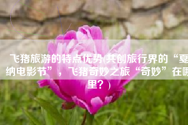 飞猪旅游的特点优势(共创旅行界的“戛纳电影节”，飞猪奇妙之旅“奇妙”在哪里？)