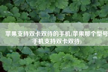 苹果支持双卡双待的手机(苹果那个型号手机支持双卡双待)