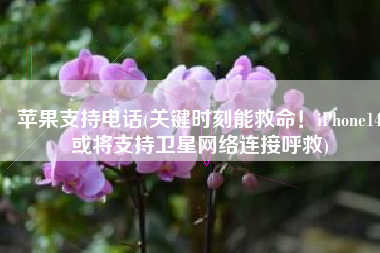苹果支持电话(关键时刻能救命！iPhone14或将支持卫星网络连接呼救)