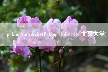 peking university(Peking University 北京大学)
