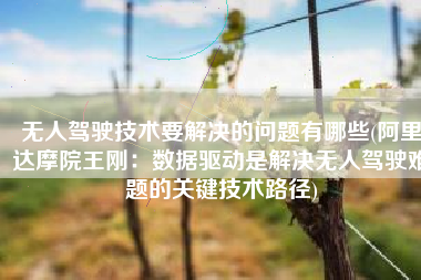无人驾驶技术要解决的问题有哪些(阿里达摩院王刚：数据驱动是解决无人驾驶难题的关键技术路径)