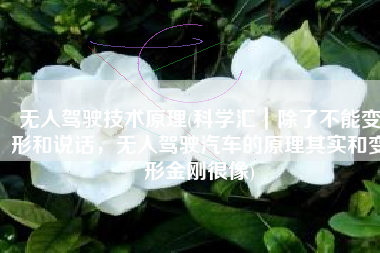 无人驾驶技术原理(科学汇｜除了不能变形和说话，无人驾驶汽车的原理其实和变形金刚很像)