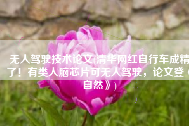 无人驾驶技术论文(清华网红自行车成精了！有类人脑芯片可无人驾驶，论文登《自然》)