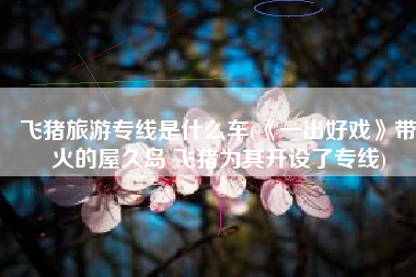 飞猪旅游专线是什么车(《一出好戏》带火的屋久岛 飞猪为其开设了专线)