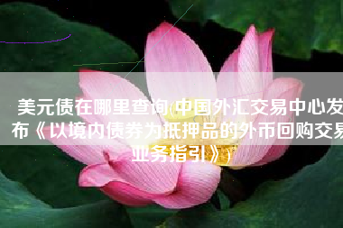 美元债在哪里查询(中国外汇交易中心发布《以境内债券为抵押品的外币回购交易业务指引》)