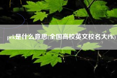 pek是什么意思(全国高校英文校名大PK)