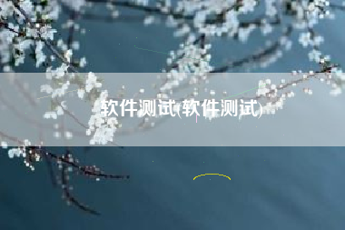 软件测试(软件测试)