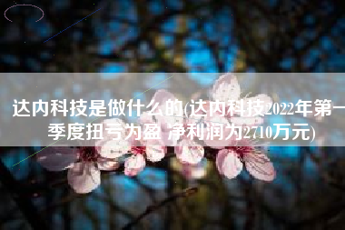 达内科技是做什么的(达内科技2022年第一季度扭亏为盈 净利润为2710万元)