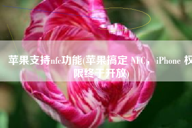苹果支持nfc功能(苹果搞定 NFC，iPhone 权限终于开放)