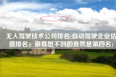 无人驾驶技术公司排名(自动驾驶企业估值排名，最意想不到的竟然是第四名)