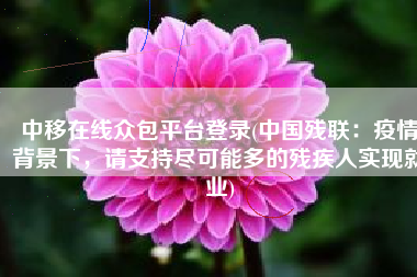 中移在线众包平台登录(中国残联：疫情背景下，请支持尽可能多的残疾人实现就业)