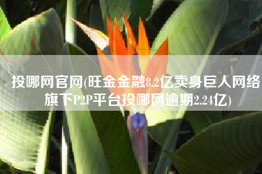 投哪网官网(旺金金融8.2亿卖身巨人网络 旗下P2P平台投哪网逾期2.24亿)