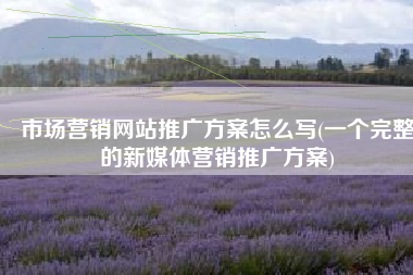 市场营销网站推广方案怎么写(一个完整的新媒体营销推广方案)
