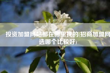 投资加盟网站都在哪里找的(招商加盟网选哪个比较好)