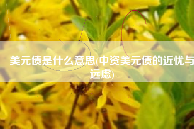 美元债是什么意思(中资美元债的近忧与远虑)