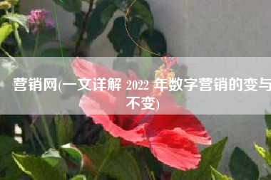 营销网(一文详解 2022 年数字营销的变与不变)