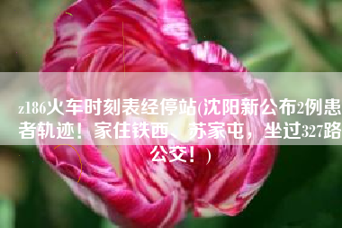 z186火车时刻表经停站(沈阳新公布2例患者轨迹！家住铁西、苏家屯，坐过327路公交！)