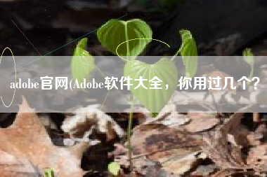 adobe官网(Adobe软件大全，你用过几个？)