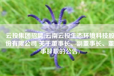云投集团招聘(云南云投生态环境科技股份有限公司 关于董事长、副董事长、董事辞职的公告)