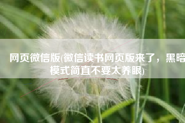网页微信版(微信读书网页版来了，黑暗模式简直不要太养眼)