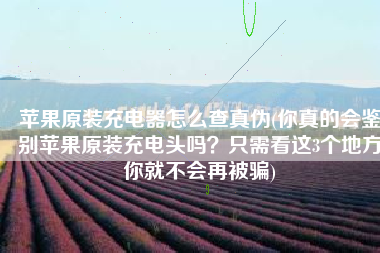 苹果原装充电器怎么查真伪(你真的会鉴别苹果原装充电头吗？只需看这3个地方你就不会再被骗)