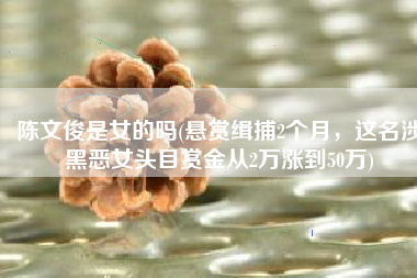 陈文俊是女的吗(悬赏缉捕2个月，这名涉黑恶女头目赏金从2万涨到50万)