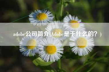 adobe公司简介(Adobe是干什么的？)