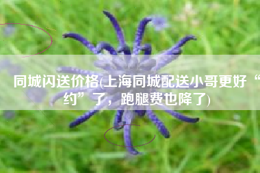 同城闪送价格(上海同城配送小哥更好“约”了，跑腿费也降了)