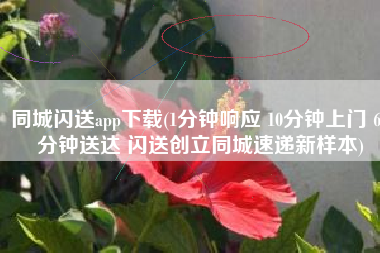 同城闪送app下载(1分钟响应 10分钟上门 60分钟送达 闪送创立同城速递新样本)