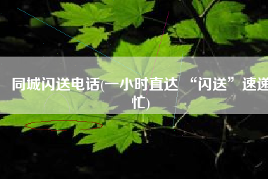 同城闪送电话(一小时直达 “闪送”速递忙)