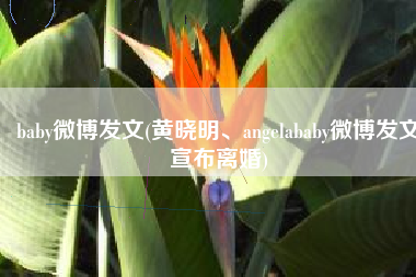 baby微博发文(黄晓明、angelababy微博发文宣布离婚)