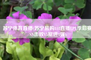 苏宁体育直播(苏宁易购818直播LPL季后赛 SN击败V5挺进4强)
