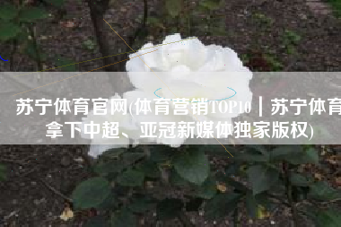 苏宁体育官网(体育营销TOP10｜苏宁体育拿下中超、亚冠新媒体独家版权)