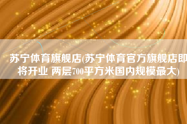 苏宁体育旗舰店(苏宁体育官方旗舰店即将开业 两层700平方米国内规模最大)