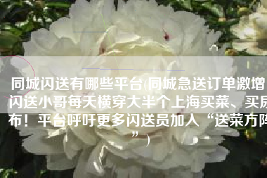 同城闪送有哪些平台(同城急送订单激增，闪送小哥每天横穿大半个上海买菜、买尿布！平台呼吁更多闪送员加入“送菜方阵”)
