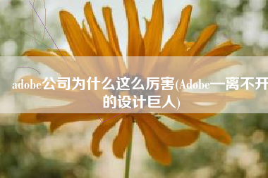 adobe公司为什么这么厉害(Adobe—离不开的设计巨人)
