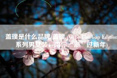 盖璞是什么品牌(盖璞 (Gap) The Gap Edition系列男女装，陪你“潮”过新年)