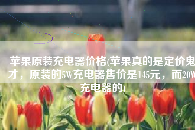 苹果原装充电器价格(苹果真的是定价鬼才，原装的5W充电器售价是145元，而20W充电器的)