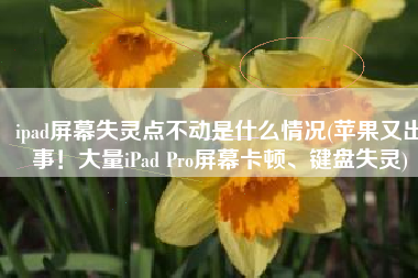 ipad屏幕失灵点不动是什么情况(苹果又出事！大量iPad Pro屏幕卡顿、键盘失灵)