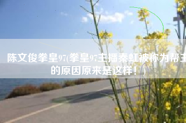 陈文俊拳皇97(拳皇97主播秦虹被称为帮主的原因原来是这样！)