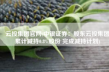 云投集团官网(中银证券：股东云投集团累计减持0.8%股份 完成减持计划)