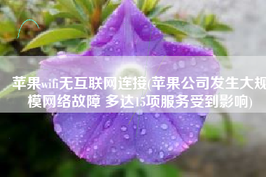 苹果wifi无互联网连接(苹果公司发生大规模网络故障 多达15项服务受到影响)