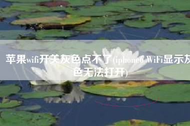 苹果wifi开关灰色点不了(iphone6 WiFi显示灰色无法打开)