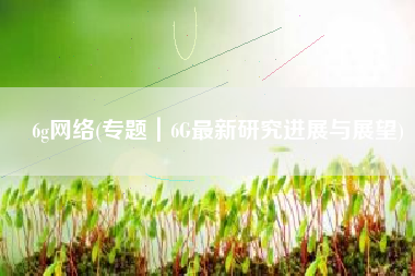 6g网络(专题｜6G最新研究进展与展望)