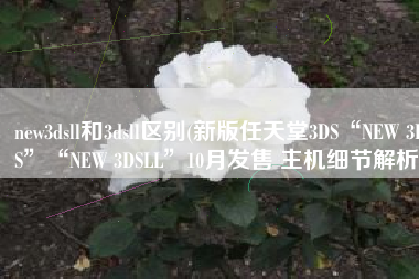 new3dsll和3dsll区别(新版任天堂3DS“NEW 3DS”“NEW 3DSLL”10月发售 主机细节解析)