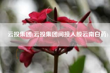 云投集团(云投集团间接入股云南白药)