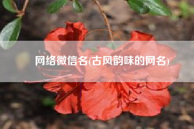 网络微信名(古风韵味的网名)